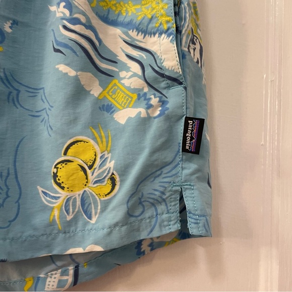 Patagonia Womens 2.5” Barely Baggies Shorts C Street Garden Blue Print - Picture 3 of 8